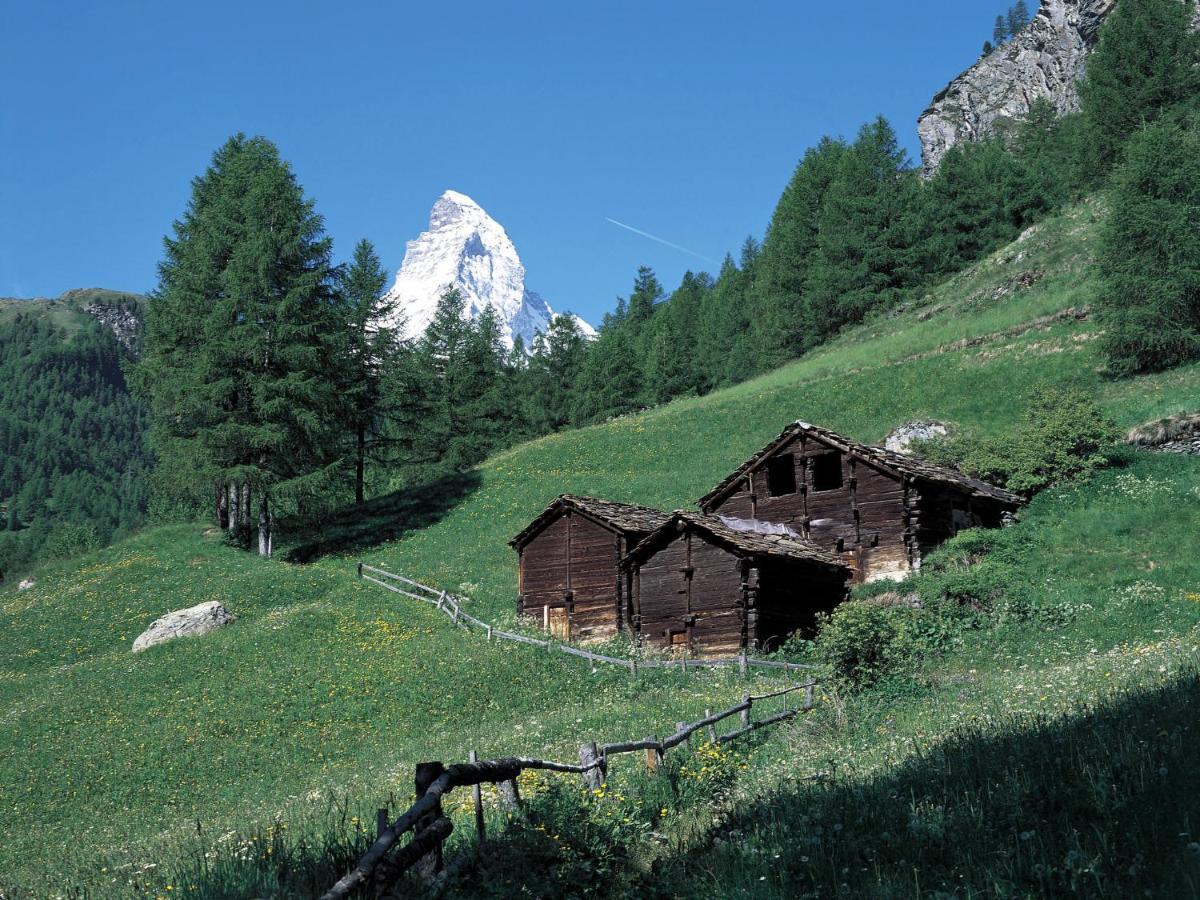 Apartment Brunnmatt.4 Zermatt